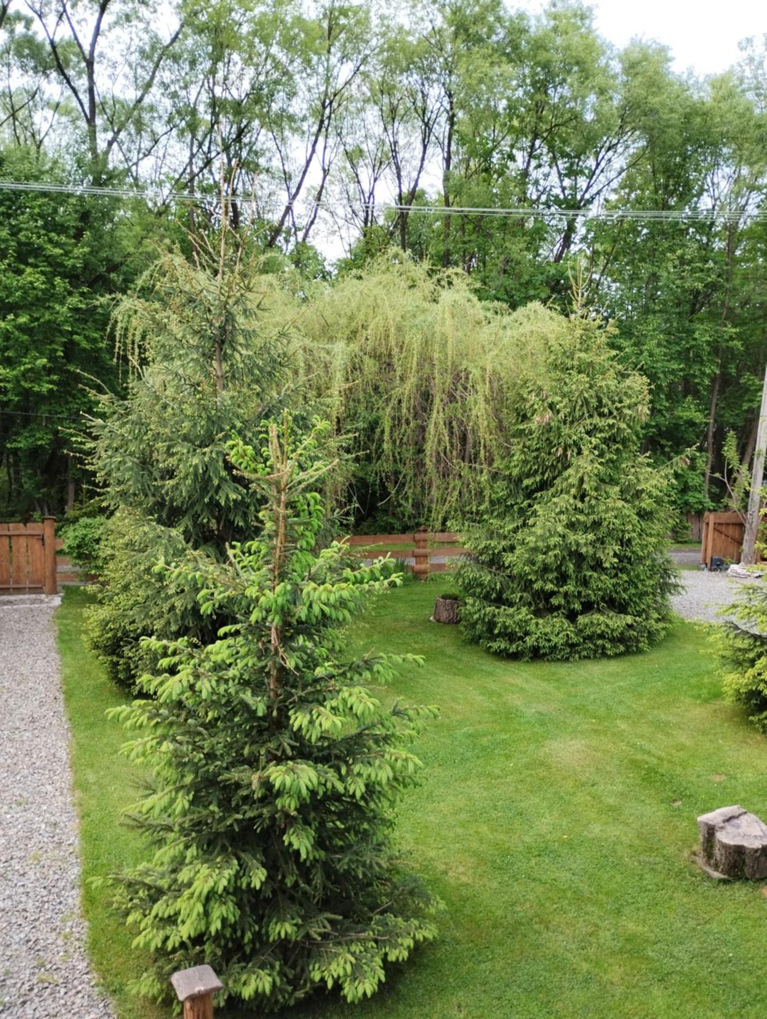 Apartament Nad Potokiem Вісла Екстер'єр фото